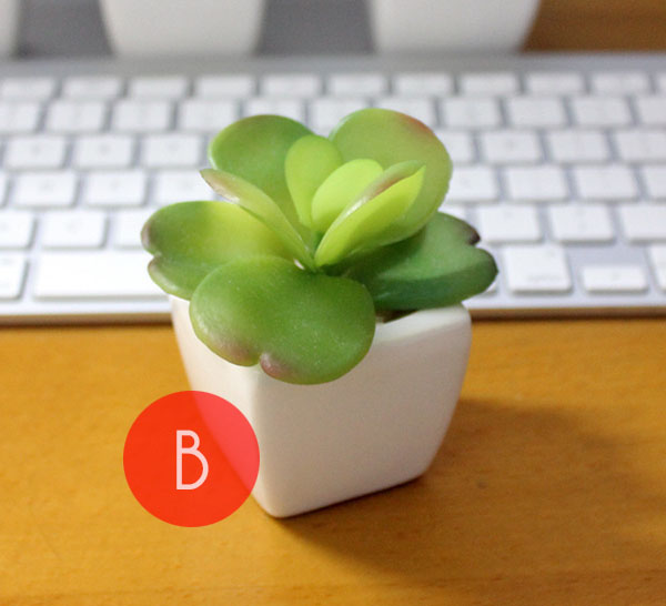 Chậu lá nhựa để bàn mẫu B